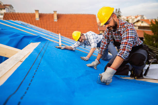 Best New Roof Installation  in Bainbridge Island, WA