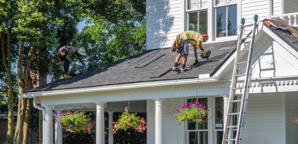Best New Roof Installation  in Bainbridge Island, WA